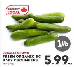 IGA Fresh Organic Bc Baby Cucumbers offer