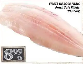 Fresh Sole Fillets