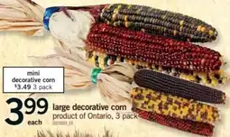 Fortinos large decorative corn offer