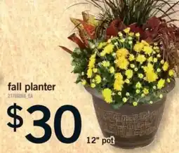 Fortinos fall planter offer