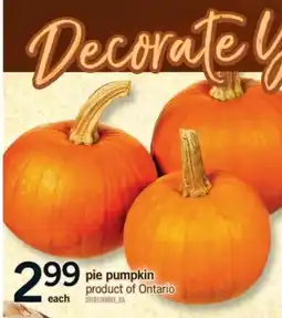 Fortinos pie pumpkin offer