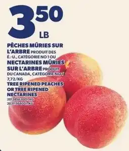 Provigo Tree ripened peaches or tree ripened nectarines offer