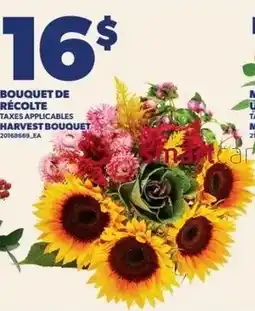 Provigo Harvest bouquet offer