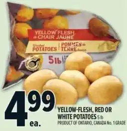 Metro Yellow-flesh, red or white potatoes offer