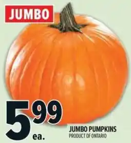 Metro Jumbo pumpkins offer