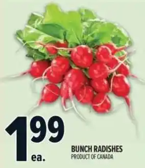 Metro Bunch radishes offer