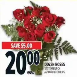 Metro Dozen roses offer