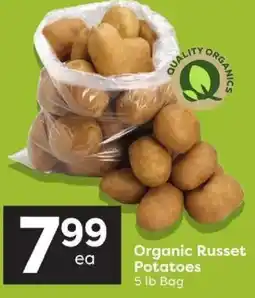 Quality Foods Organic Russet Potatoes offer