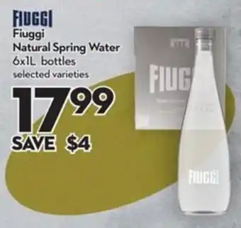 Fiuggi natural spring water