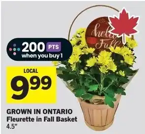 Fleurette in Fall Basket