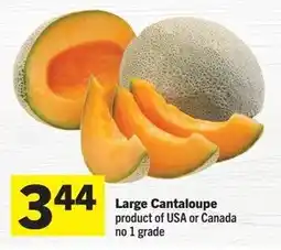 Foodland Large Cantaloupe offer