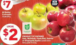 Foodland All Butter Croissants offer