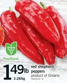 Fortinos Foodland red shepherd peppers offer