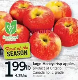Fortinos Foodland large Honeycrisp apples offer