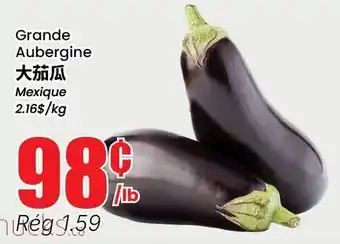 Grande Aubergine