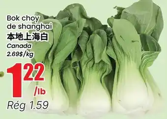 Bok choy de shanghai