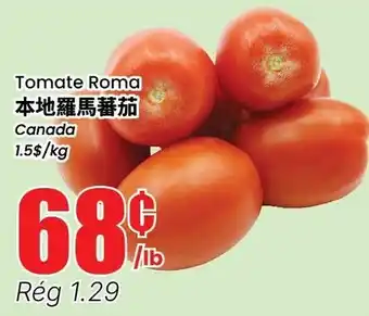 Tomate Roma