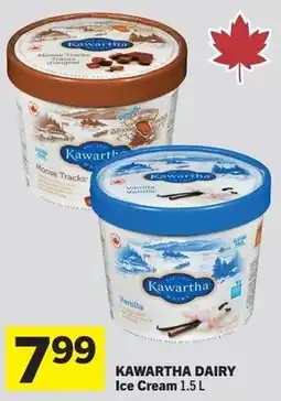 Foodland Kawartha Dairy Ice Cream offer