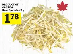 Foodland Bean Sprouts offer
