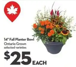 Longo's 14" Fall Planter Bowl offer