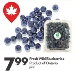 Longo's Fresh Wild Blueberries offer