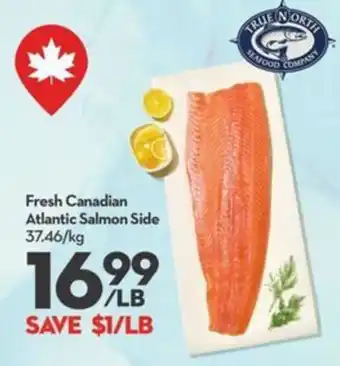 True North Atlantic Salmon Side
