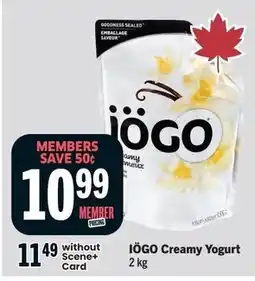 Foodland Iogo creamy yogurt offer