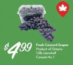 Longo's Fresh Concord Grapes offer