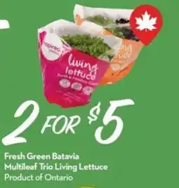 Longo's Living lettuce offer