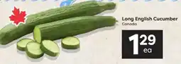 Quality Foods Long English Cucumber offer