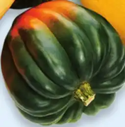 Walmart Selected squash offer