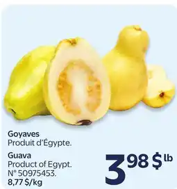 Walmart Guava offer