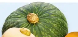 Walmart Selected squash offer