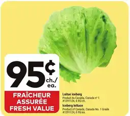 Giant Tiger Iceberg lettuce offer