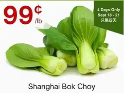 Lucky Supermarket Shanghai Bok Choy offer