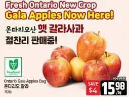 Galleria Supermarket Ontario Gala Apples Bag offer