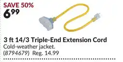 Princess Auto 3 ft 14/3 Triple-End Extension Cord offer