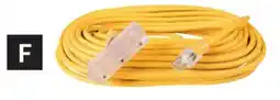 Princess Auto 100 ft 12/3 Triple Outlet Contractor-Grade Extension Cords offer