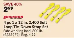 Princess Auto ERICKSON 4 pc 1 x 12 in. 2,400 Soft Loop Tie-Down Strap Set offer