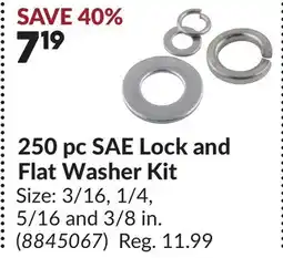 Princess Auto 250 pc SAE Lock and Flat Washer Kit offer
