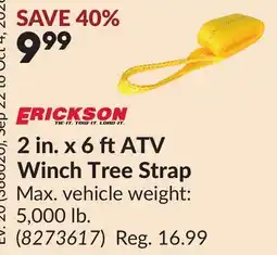 Princess Auto 2 in. x 6 ft ATV Winch Tree Strap offer