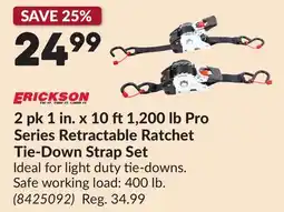 Princess Auto 2 pk 1 in. x 10 ft 1,200 lb Pro Series Retractable Ratchet Tie-Down Strap Set offer