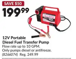 Princess Auto 12V Portable Diesel Fuel Transfer Pump offer