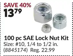 Princess Auto 100 pc SAE Lock Nut Kit offer