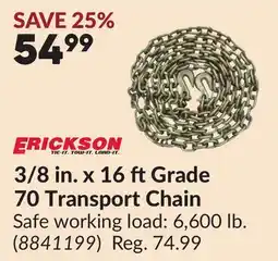 Princess Auto 3/8 in. x 16 ft Grade 70 Transport Chain offer