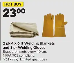 Princess Auto 2 pk 4 x 6 ft Welding Blankets and 1 pr Welding Gloves offer