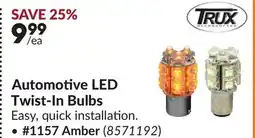 Princess Auto Automotive LED Twist-In Bulbs offer