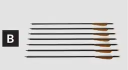 Princess Auto Carbon 6 PK. 20 in. Crossbow Bolt offer