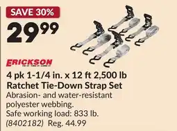Princess Auto 4 pk 1-1/4 in. x 12 ft 2,500 lb Ratchet Tie-Down Strap Set offer
