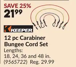 Princess Auto 12 pc Carabiner Bungee Cord Set offer